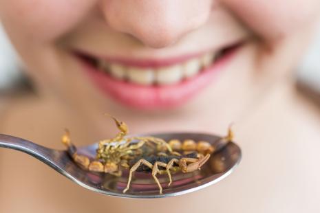 Dans le monde, plus de 2 milliards de personnes consomment régulièrement des insectes