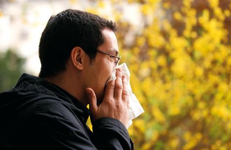 Un tiers des Français souffrent de rhinites allergiques





rhume homme malade mouchoir allergie